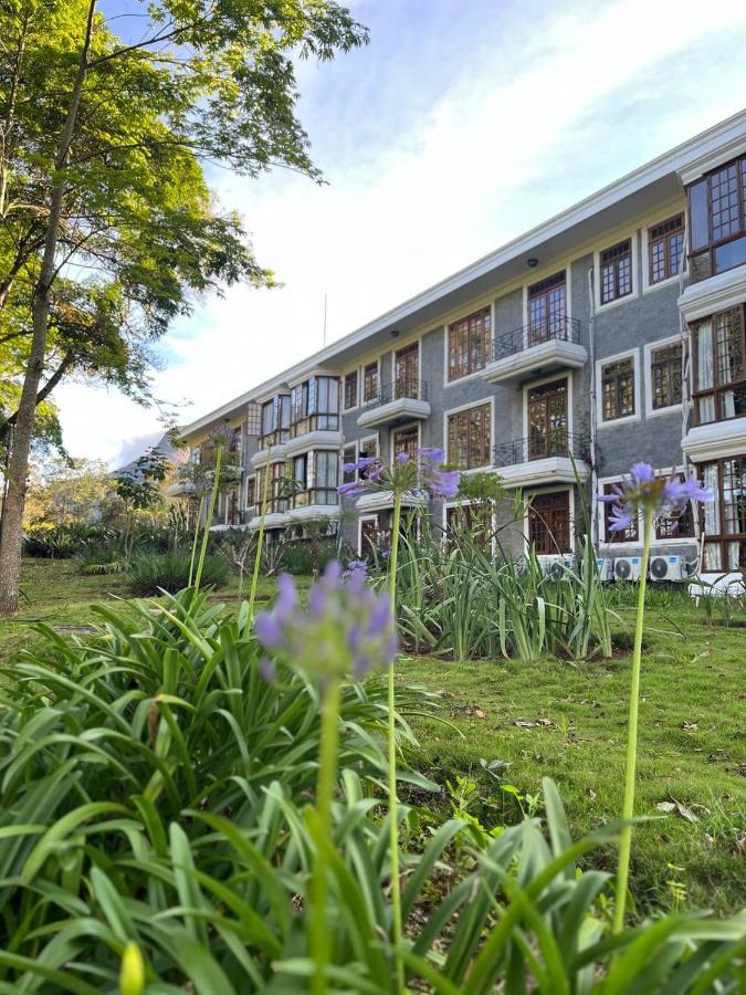 Aroso Paco Hotel Pedra Azul  Eksteriør bilde The Faculty of Law